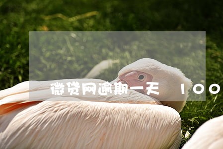 微贷网逾期一天 1000 微贷网逾期一天 1000